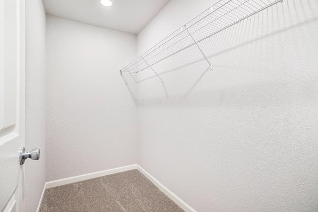 spacious closet with carpet floors