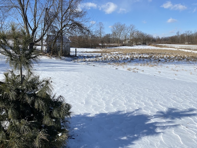 view of snowy yard