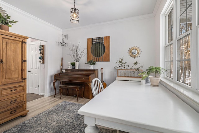 dining room with ornamental molding and light hardwood / wood-style floors