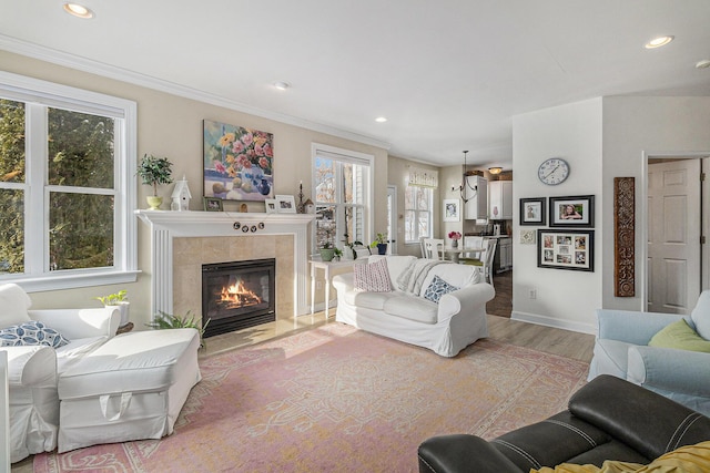 living room featuring wood-type flooring, a premium fireplace, and crown molding