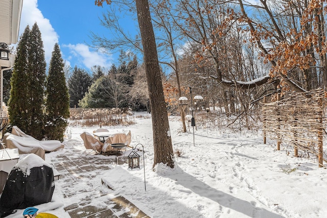 view of yard covered in snow