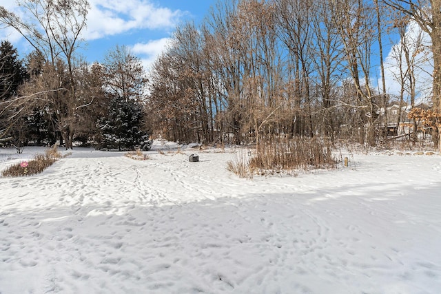 view of yard covered in snow