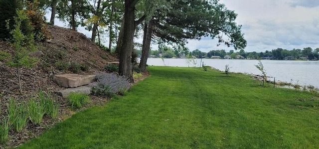 view of yard with a water view