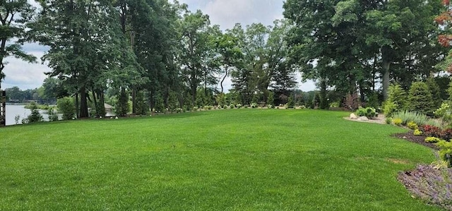 view of yard with a water view