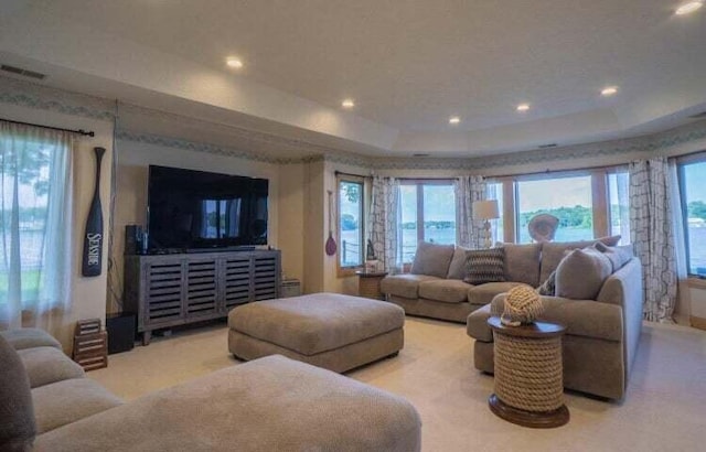 living room featuring a raised ceiling