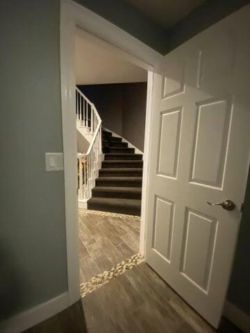 stairs featuring wood-type flooring