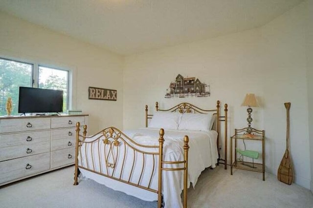 bedroom with carpet flooring