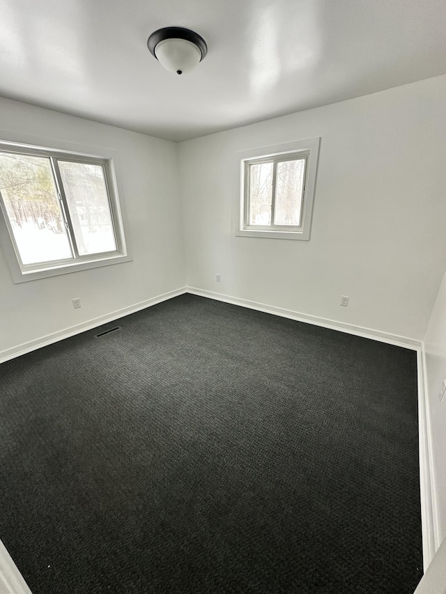 carpeted empty room featuring a wealth of natural light