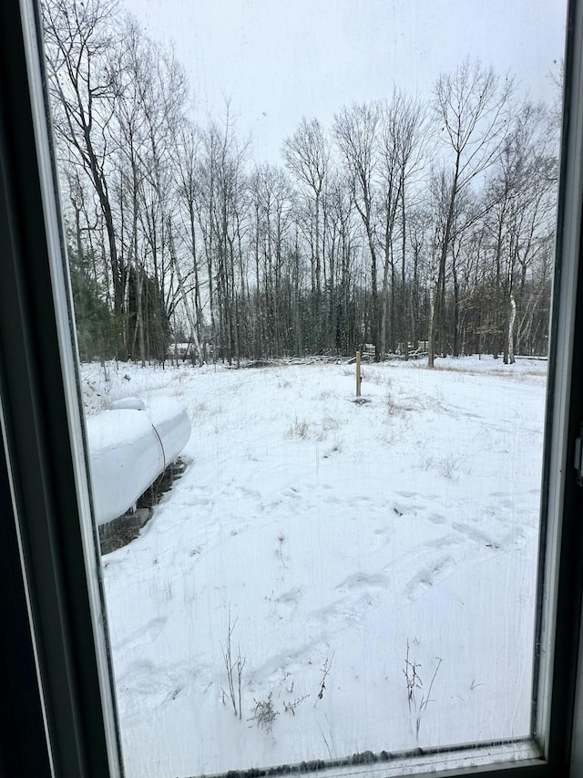 view of yard covered in snow