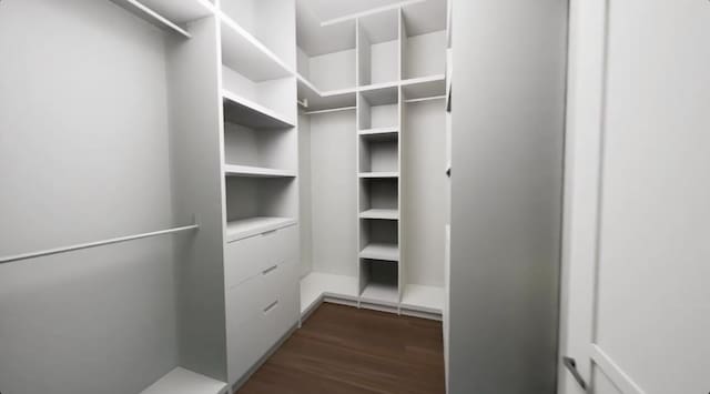 spacious closet with dark hardwood / wood-style flooring