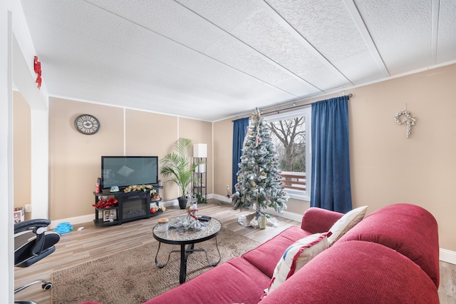 living room featuring hardwood / wood-style flooring and a textured ceiling