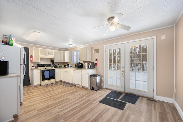 kitchen featuring white appliances, a wealth of natural light, light hardwood / wood-style floors, and french doors