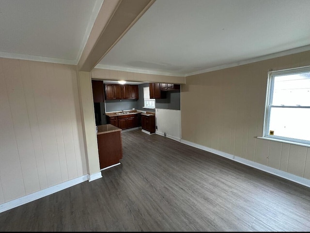 kitchen featuring dark wood-type flooring