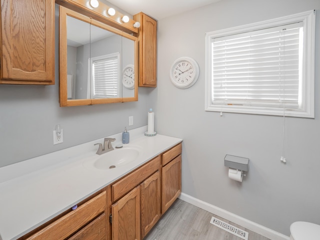 bathroom featuring hardwood / wood-style flooring and vanity