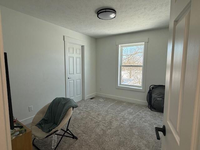 office with light carpet and a textured ceiling