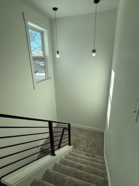 staircase featuring carpet flooring