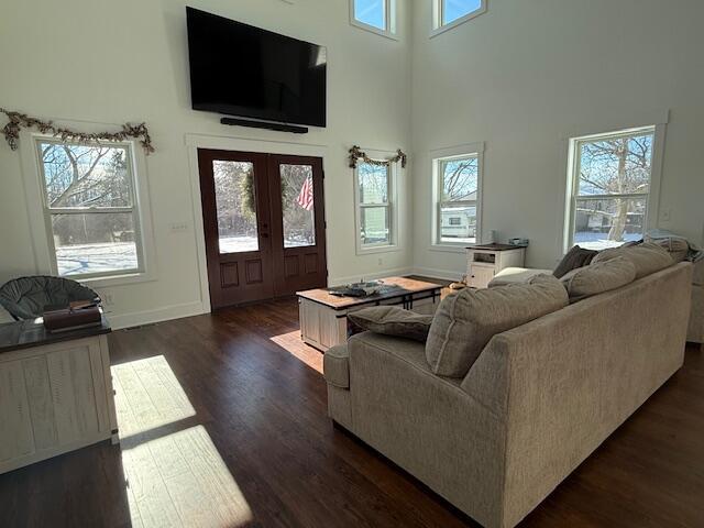 living room with dark hardwood / wood-style flooring, a wealth of natural light, and a high ceiling