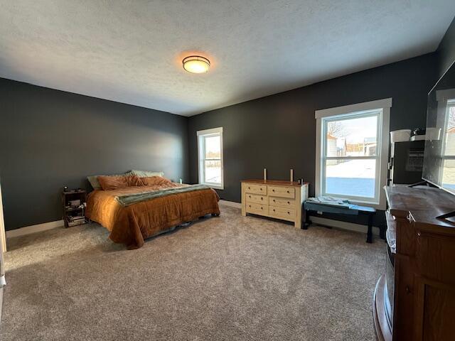 bedroom featuring carpet floors and a textured ceiling