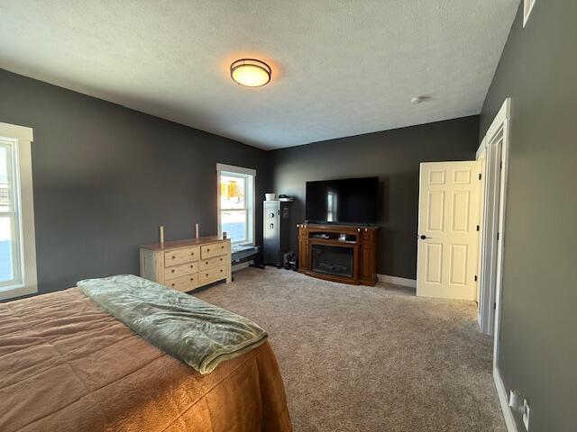 bedroom featuring carpet and a textured ceiling