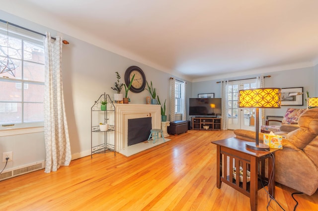 living room featuring wood-type flooring