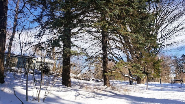 view of yard layered in snow