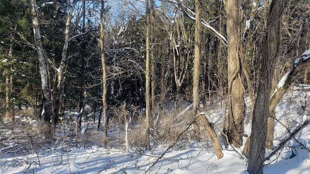 view of snow covered land