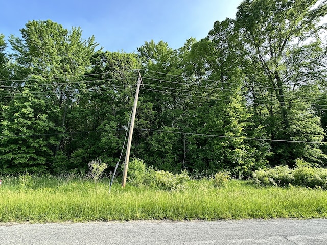 0V/L E Empire Ave, Benton Harbor, MI 49022 - photo 2