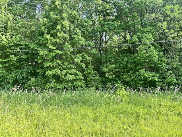 0V/L E Empire Ave, Benton Harbor, MI 49022 - photo 4