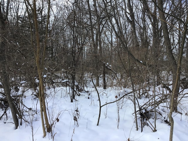 Briarwood Dr, Otsego MI, 49078 land for sale