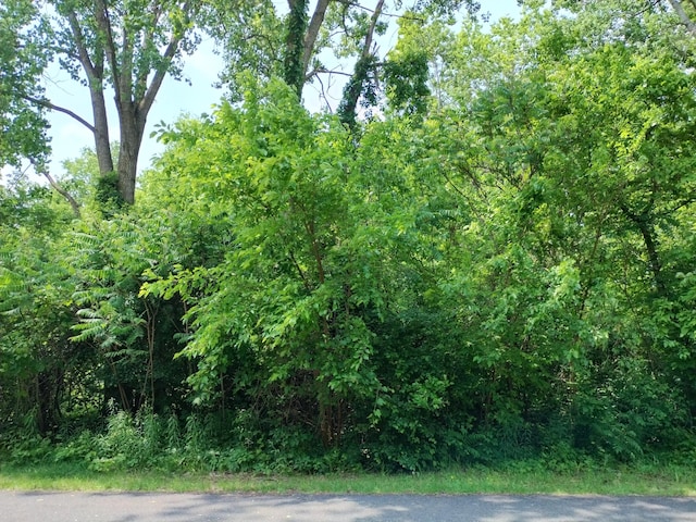 Briarwood Dr, Otsego, MI 49078