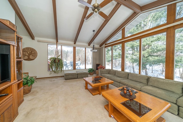 carpeted living room featuring lofted ceiling with beams and ceiling fan