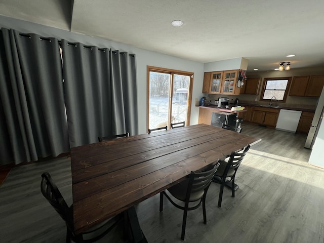 dining space featuring light hardwood / wood-style floors and sink