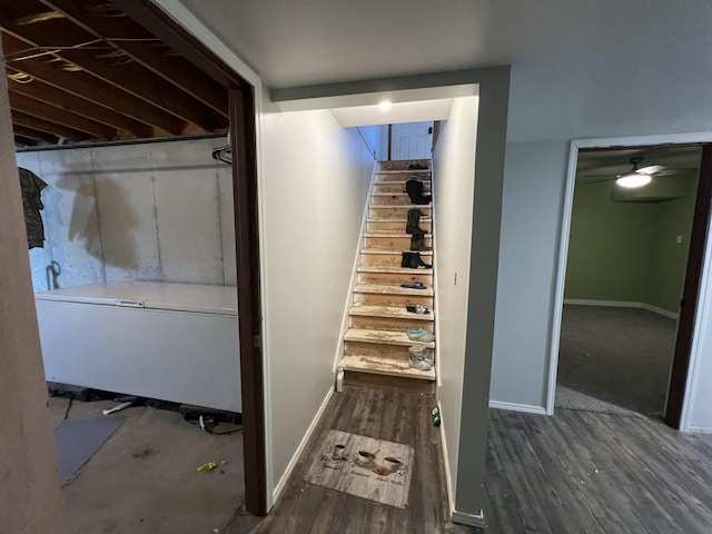 staircase featuring hardwood / wood-style floors