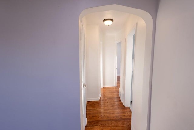 hall featuring dark hardwood / wood-style floors