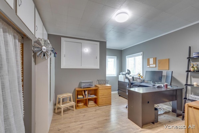 office with crown molding and light hardwood / wood-style flooring