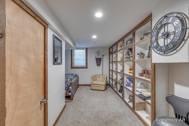 living area with light colored carpet