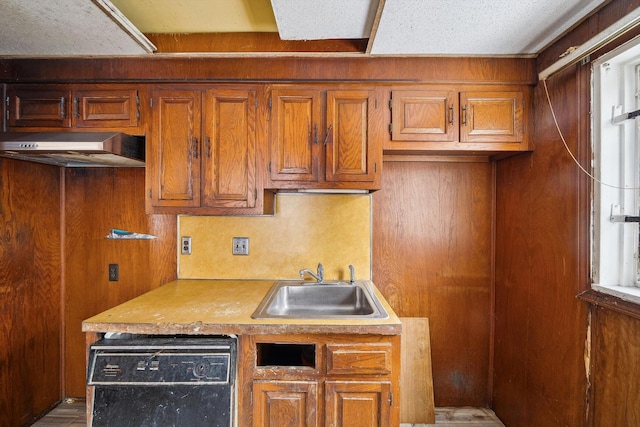 kitchen featuring sink, extractor fan, and black dishwasher