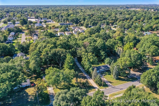 bird's eye view