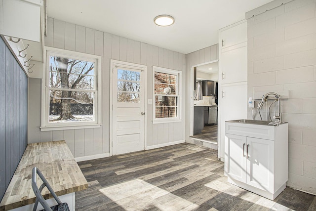 foyer with sink and dark wood-type flooring