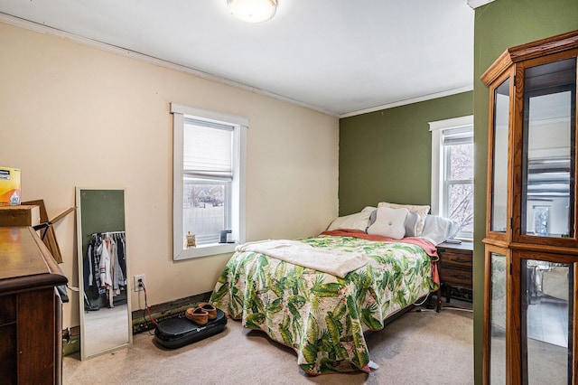 carpeted bedroom with crown molding and a closet