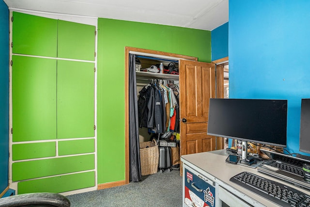 interior space featuring carpet and a closet