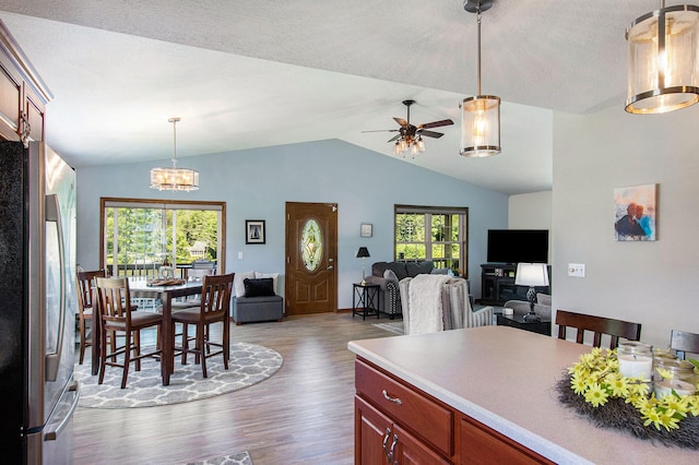 kitchen featuring plenty of natural light, stainless steel fridge, dark hardwood / wood-style floors, and lofted ceiling