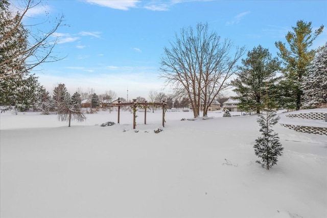 view of snowy yard