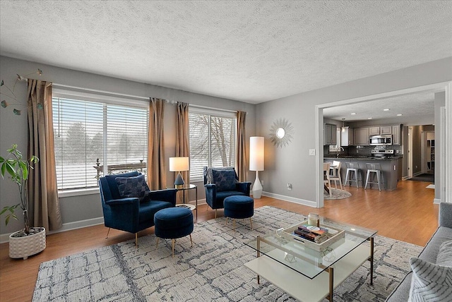 living room featuring a textured ceiling, light wood-type flooring, and sink