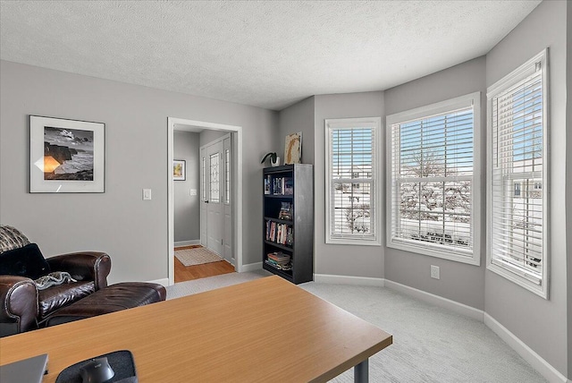 carpeted office space with a textured ceiling