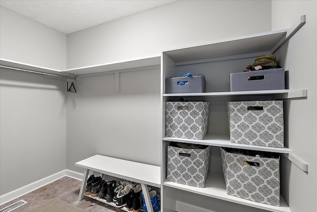 spacious closet with wood-type flooring