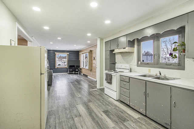 kitchen with gray cabinetry, sink, white appliances, and light hardwood / wood-style floors