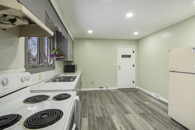 kitchen featuring gray cabinetry, sink, wood-type flooring, and white appliances