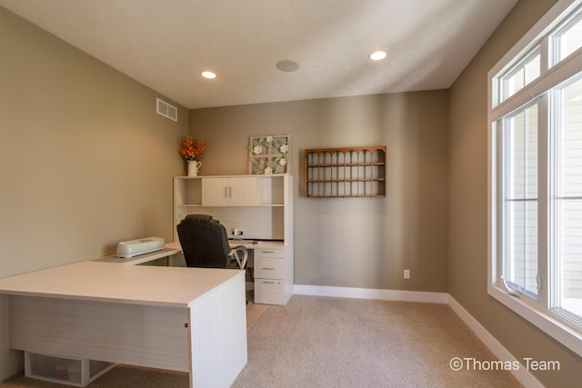 home office featuring light colored carpet and plenty of natural light