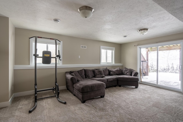 living room featuring a wealth of natural light, a textured ceiling, and carpet flooring